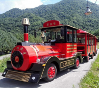 龍之盈游樂觀光小火車可以定制嗎？