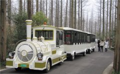 無(wú)軌小火車(chē)多少錢(qián)一輛？掙錢(qián)嗎？