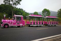 無(wú)軌小火車(chē)的注意事項(xiàng)及選擇