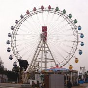 自控飛機(jī)在運行時出現(xiàn)緊急情況后怎么處理？